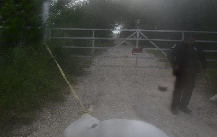 Horse Found Bound and Dumped Near Gate in Rural Bexar County>