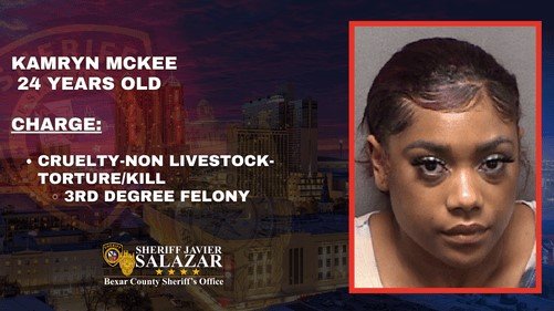 Arrest in Decomposed Pit Bull Case Reveals Alarming Animal Cruelty in Bexar County>